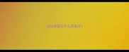 边牧感冒吃什么药最好