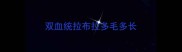 双血统拉布拉多毛多长