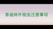 泰迪体外驱虫注意事项
