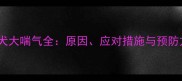 金毛犬大喘气全原因应对措施与预防方法
