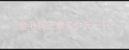 金毛狗正常多少元一只