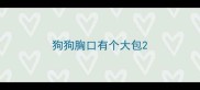 狗狗胸口有个大包