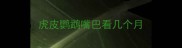 虎皮鹦鹉嘴巴看几个月