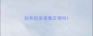 拉布拉多很臭正常吗