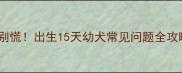 新生儿狗狗打嗝别慌出生15天幼犬常见问题全攻略附急救指南