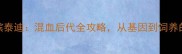 红泰迪香槟泰迪混血后代全攻略从基因到饲养的保姆级指南