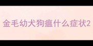金毛幼犬狗瘟什么症状