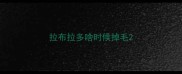 拉布拉多啥时候掉毛
