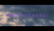 狗狗今年没打狂犬疫苗瓜