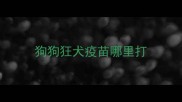 狗狗狂犬疫苗哪里打