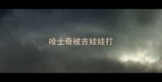 哈士奇被吉娃娃打