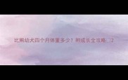 比熊幼犬四个月体重多少附成长全攻略