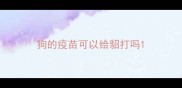狗的疫苗可以给貂打吗