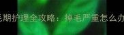 9个月哈士奇换毛期护理全攻略掉毛严重怎么办科学应对指南