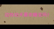 边牧幼犬喜欢睡觉吗