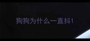 狗狗为什么一直抖