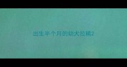 出生半个月的幼犬拉稀