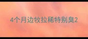 4个月边牧拉稀特别臭