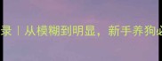边牧怀孕65天全记录从模糊到明显新手养狗必看孕期护理指南