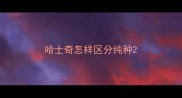 哈士奇怎样区分纯种