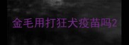 金毛用打狂犬疫苗吗