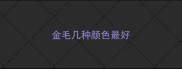 金毛几种颜色最好