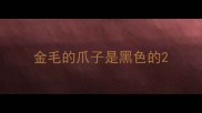 金毛的爪子是黑色的
