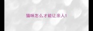 猫咪怎么才能让亲人