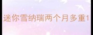 迷你雪纳瑞两个月多重