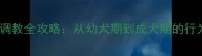 拉布拉多犬调教全攻略从幼犬期到成犬期的行为训练指南