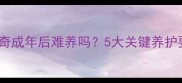 哈士奇成年后难养吗5大关键养护要点