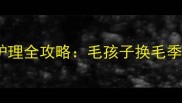 金毛退毛尴尬期护理全攻略毛孩子换毛季的正确打开方式