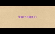 布偶3个月喂多少