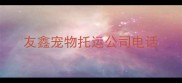 友鑫宠物托运公司电话