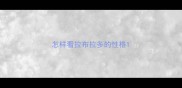 怎样看拉布拉多的性格