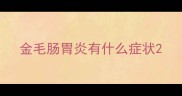 金毛肠胃炎有什么症状