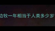 边牧一年相当于人类多少岁
