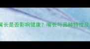 拉布拉多嘴长是否影响健康嘴长与品种特性及护理要点
