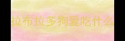 拉布拉多狗爱吃什么