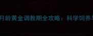 拉布拉多犬3-6月龄黄金调教期全攻略科学饲养与行为训练指南