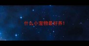 什么小宠物最好养