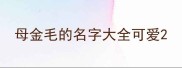 母金毛的名字大全可爱