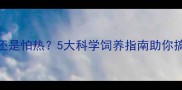 哈士奇怕冷还是怕热5大科学饲养指南助你搞定冰火两重天