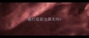 猫打疫苗治鼻支吗