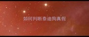 如何判断泰迪狗真假