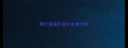 狗打疫苗打在什么地方吗