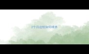 2个月边牧如何喂养
