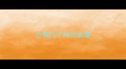 小狗几个月出去溜