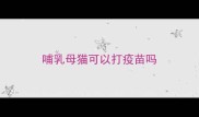 哺乳母猫可以打疫苗吗