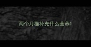 两个月猫补充什么营养